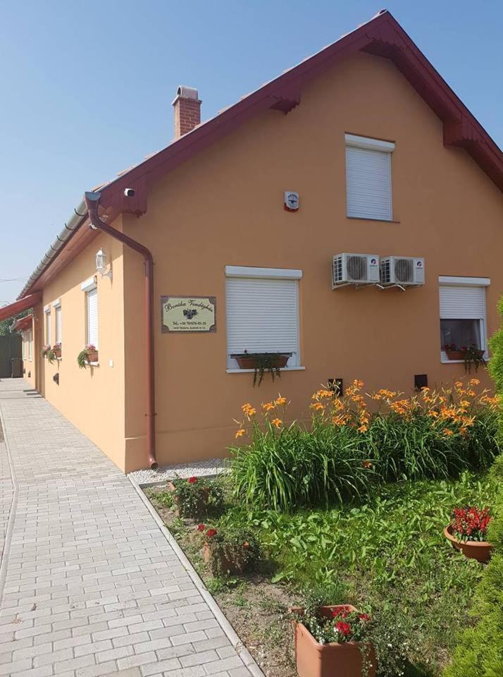 Hotel Boroka Vendeghaz Turkeve Exteriér fotografie